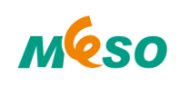 Dongguan Meso Gas Instrument Company