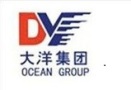 Dayang Mechanical & Electrical Engineering Co., Ltd