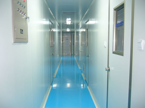 ISO Class 6 Level Air Purification Engineering Cleanroom