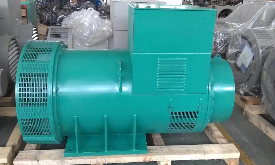 Newage Faraday AC Brushless Dynamo Alternator for Generator