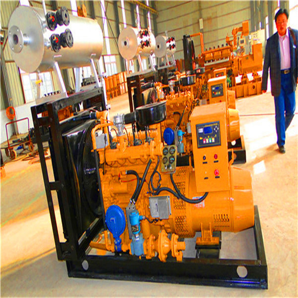 Renewable Energy Biogas Generator From China Factory