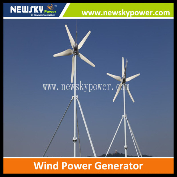 China Small 1000W 1kw 1200W Wind Generator Price for Home Use