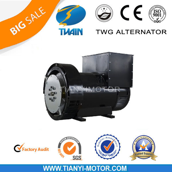 Twg Series Brushless Cheaper Alternator AC