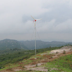 Energy Saving Wind Generator 2000W Wind Turbine Power