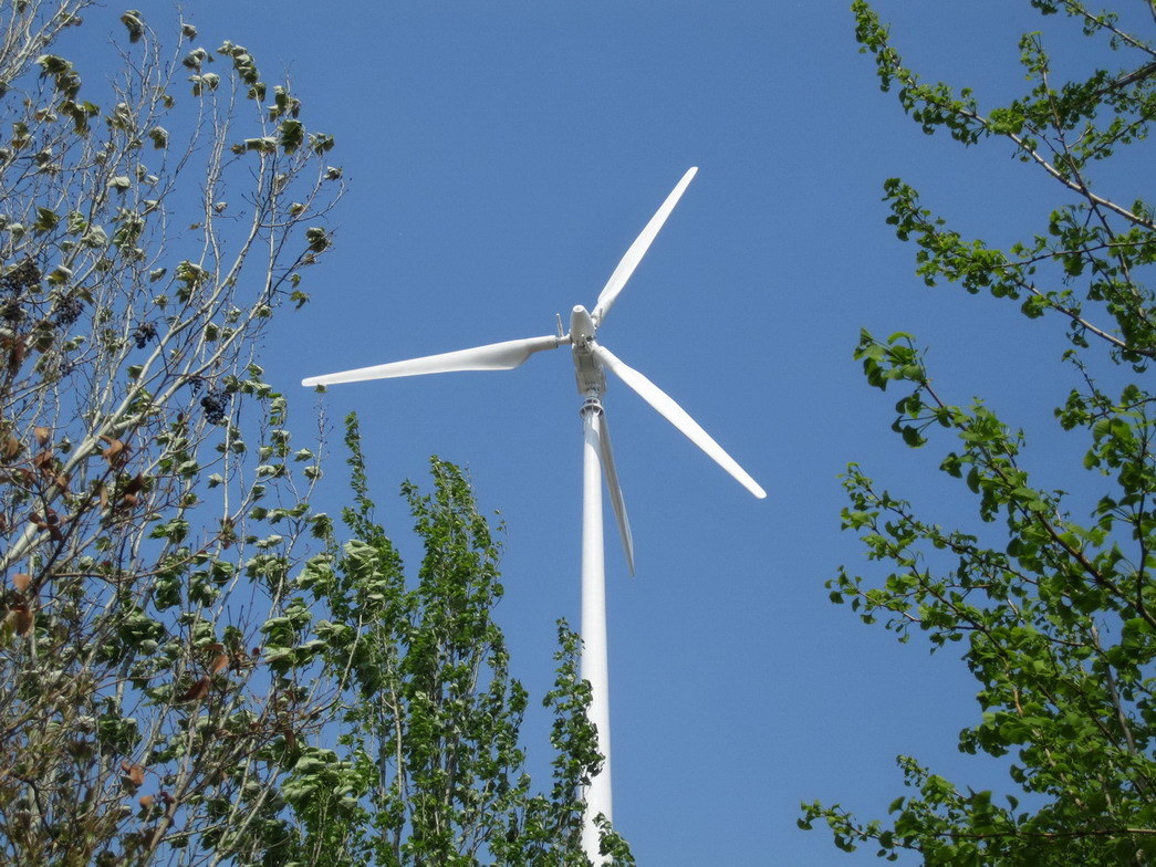 Low Rmp Wind Turbine System/Wind Power Generator