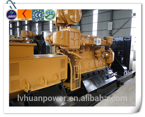 China Hot Sale 300kw Special Biogas Generator Set with 6190 Engine Lvhuan