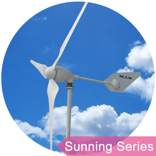 Factory Supply Sunning Series 1000W Small Wind Power Turbine (48V)