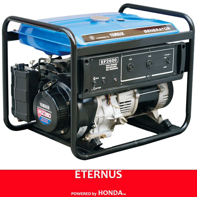 Powerful Generator with Double Voltage 2kVA