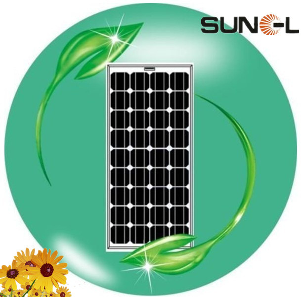 85w Monocrystalline Solar Module / Solar Panel (SNM-M85(36))