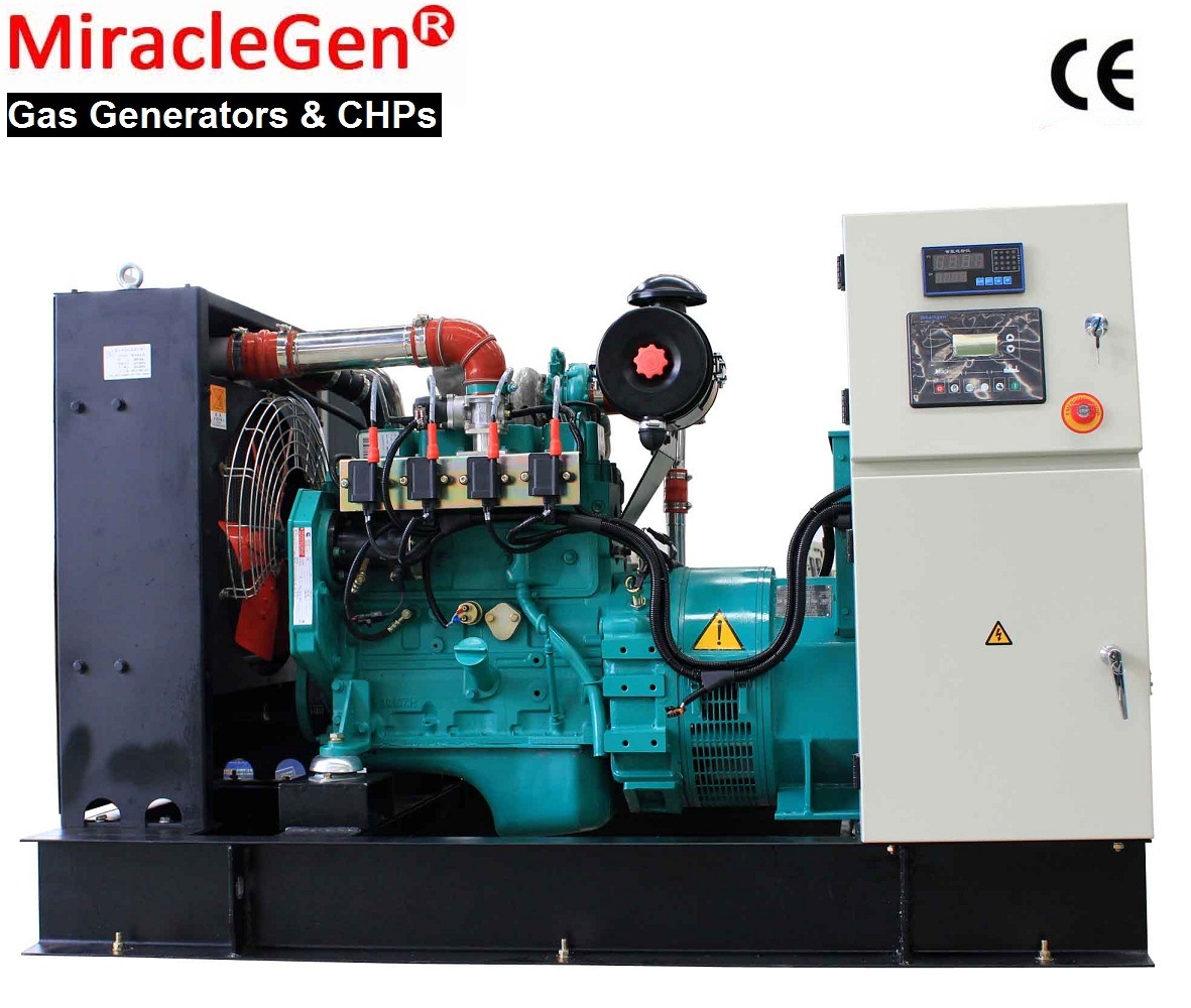 Natural Gas Generator 10-800kw (MS, MC, MT)