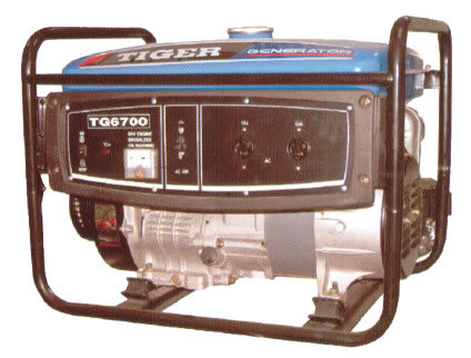 Portable Petrol Generator (TG6700)