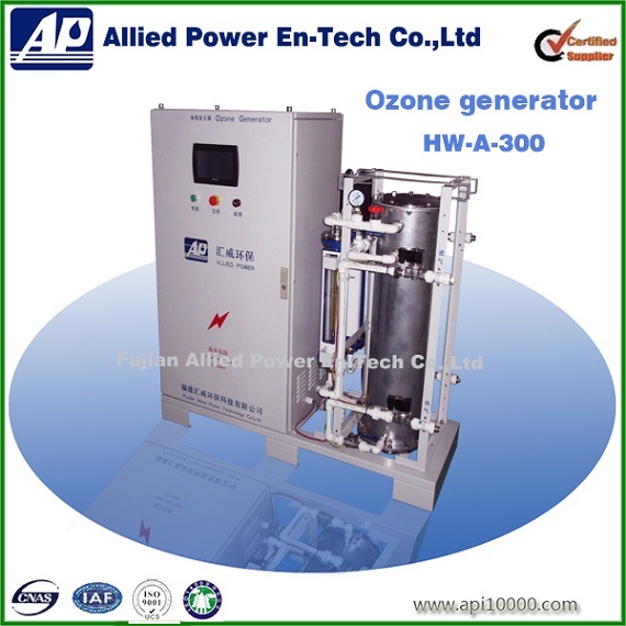 300g/H Ozone Generator in Environment for Air Purification