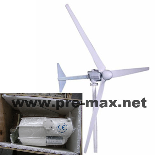 Wind Turbine (1000W)