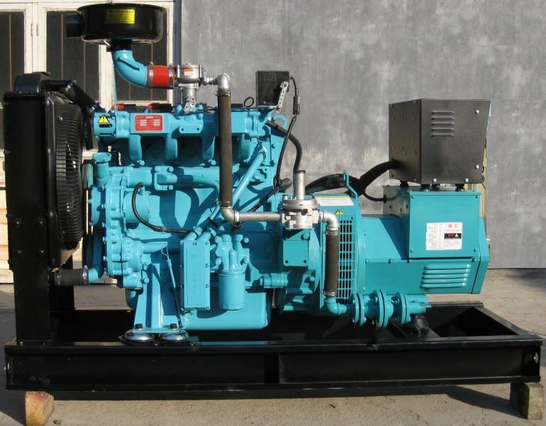 30kw 37.5kVA Gas Generator Set