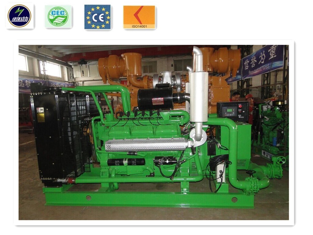 Methane LPG, LNG CNG Natural Gas Generator with CHP 20kw for Green Power Plant Station