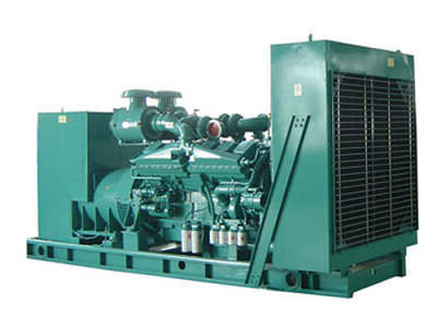Diesel Generator Set (LG900C)