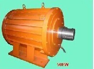 300W-1000kw Horizontal Axis Wind Generator/Permanent Magnet Generator