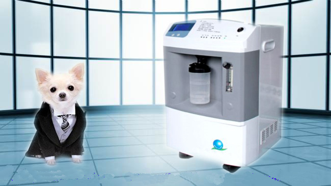 Portable Veterinary Use Oxygen Generator with CE Mark