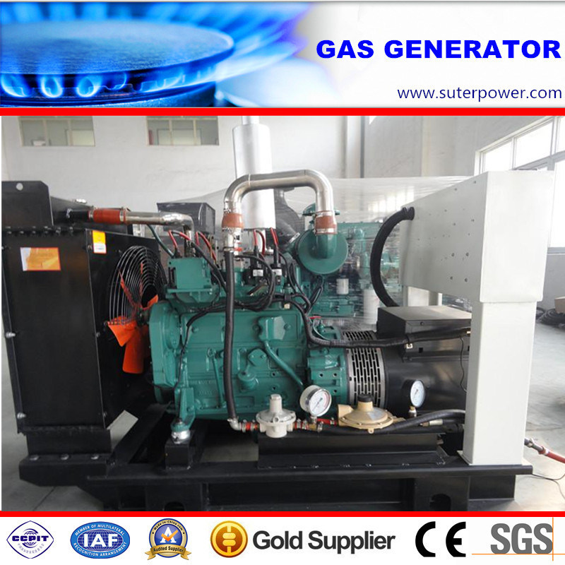 Water Cooled 55kVA/44kw Natural Gas Generator by Cummins Engine