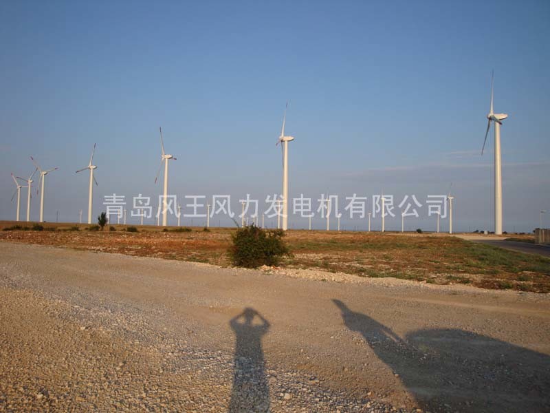 FD11.0-20KW Wind Turbine Power Generator