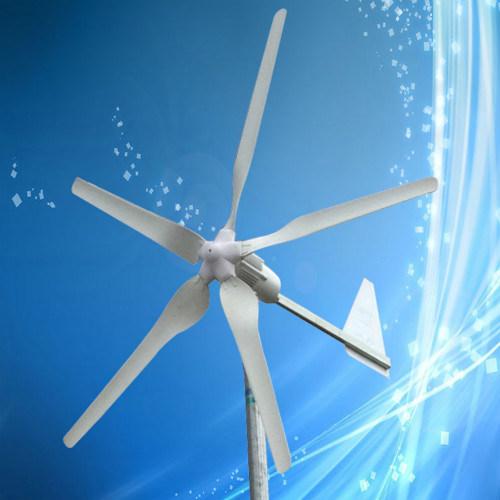 High Efficiency 1000W Wind Power Generator, 1kw Wind Generator with 5PCS Blades