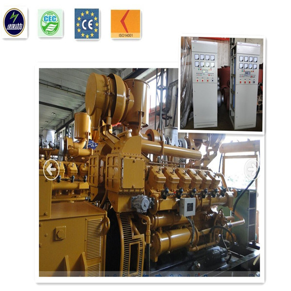 Methane Natural Gas Generator Set 300kw with CHP, LPG LNG