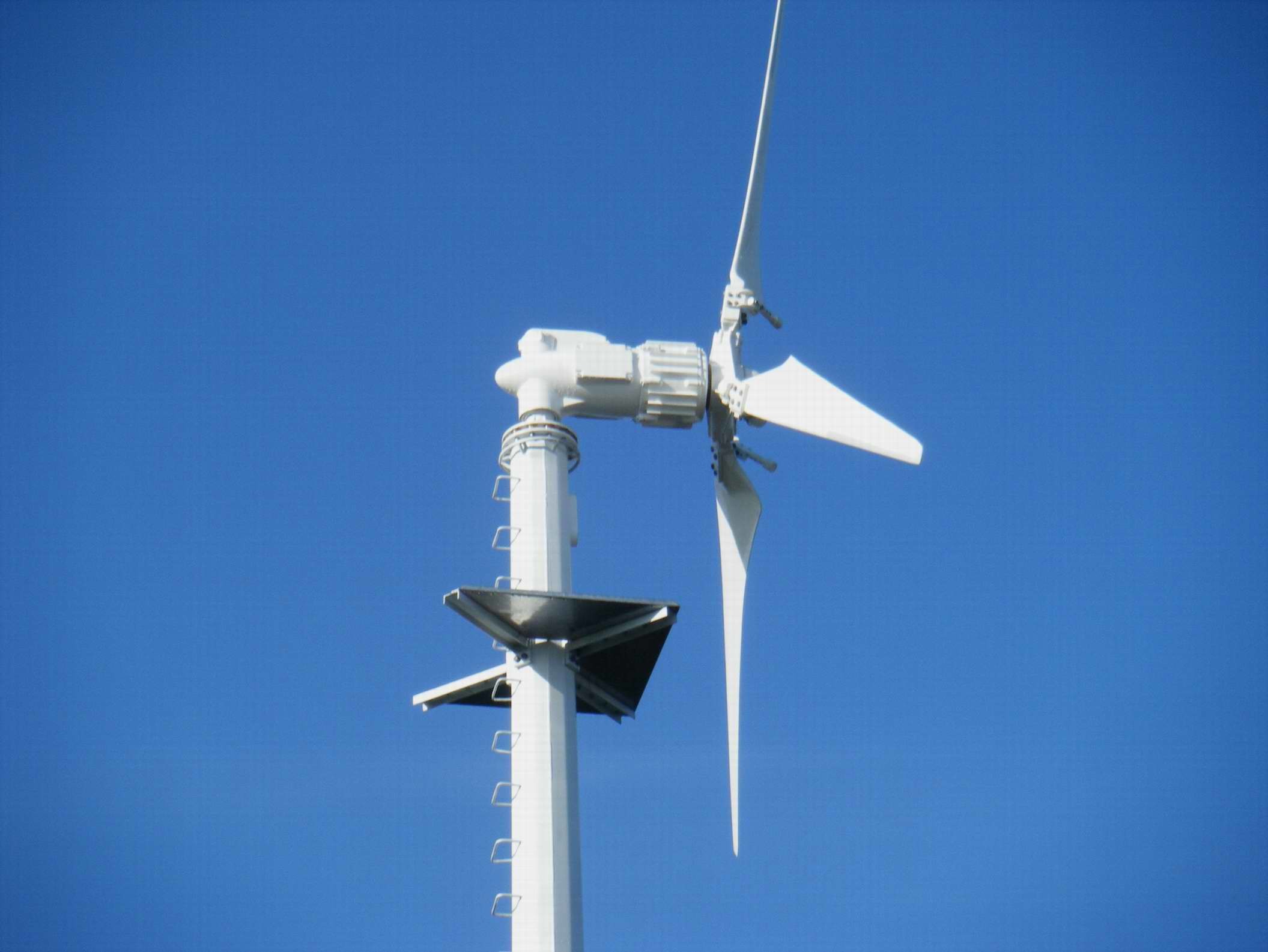 5kw Variable Blades Pitch Controll Wind Turbine Generator