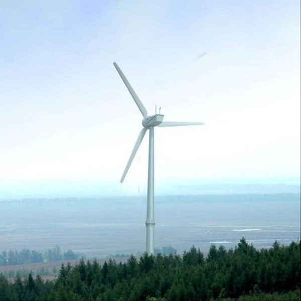 Wind Power Plant Turbine Generator 100kw