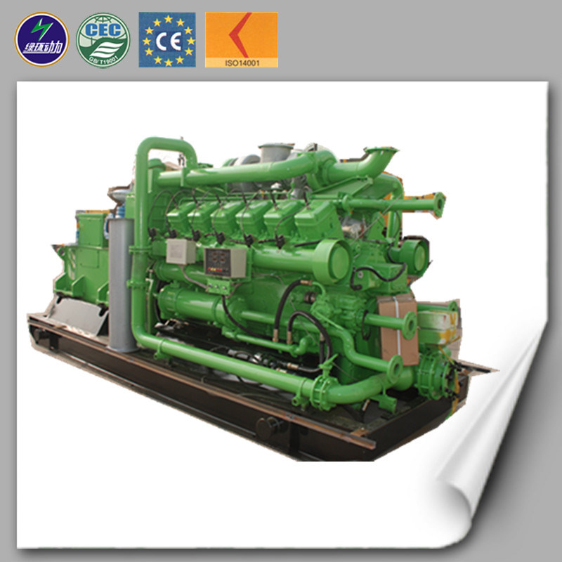 20-500kw Biomass Generator Set for Gas of Wood Waste Power Generator Set CE&ISO with 12V190 Engine Lvhuan