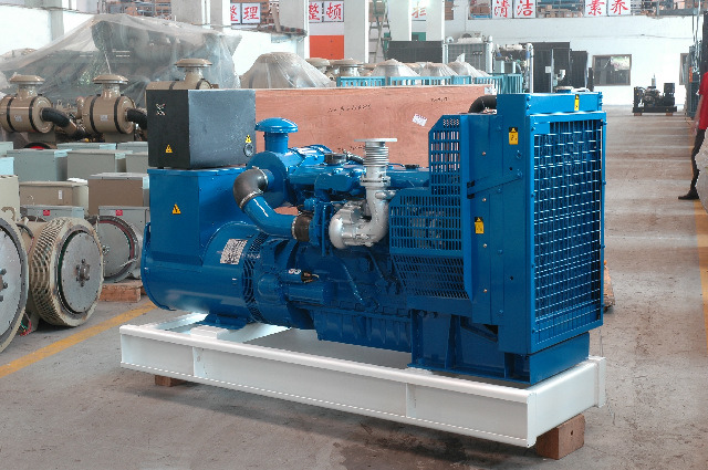 Diesel Generator Powered By Lovol Engine (FLG62)