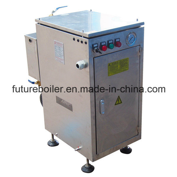 Ldr Movable Electric Steam Generator