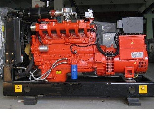 Cummins Natural Gas Generator 10-600kw, Fuel: Natural Gas, Methane, LPG, LNG with Standby Power Source