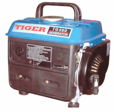 Portable Petrol Generator (TG950)