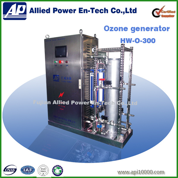 Ozone Generator with Oxygen Source
