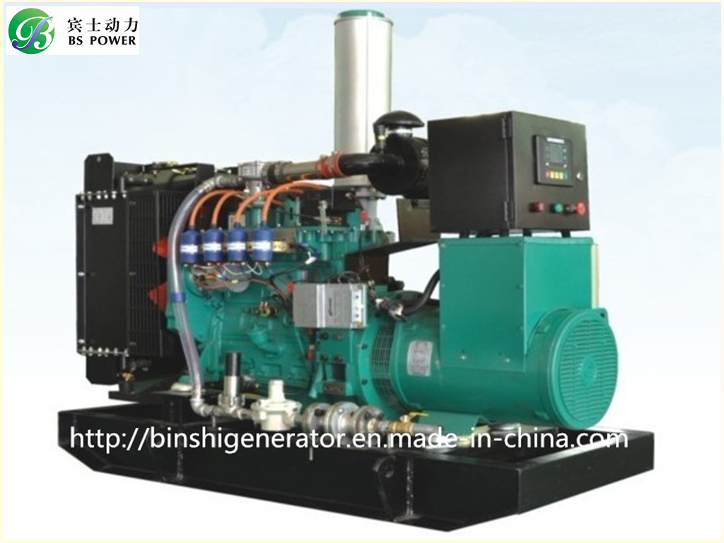 40kVA LNG Electric Power Generator Set