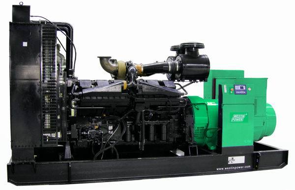 Cummins 1000kva Diesel Generator (TC1000)