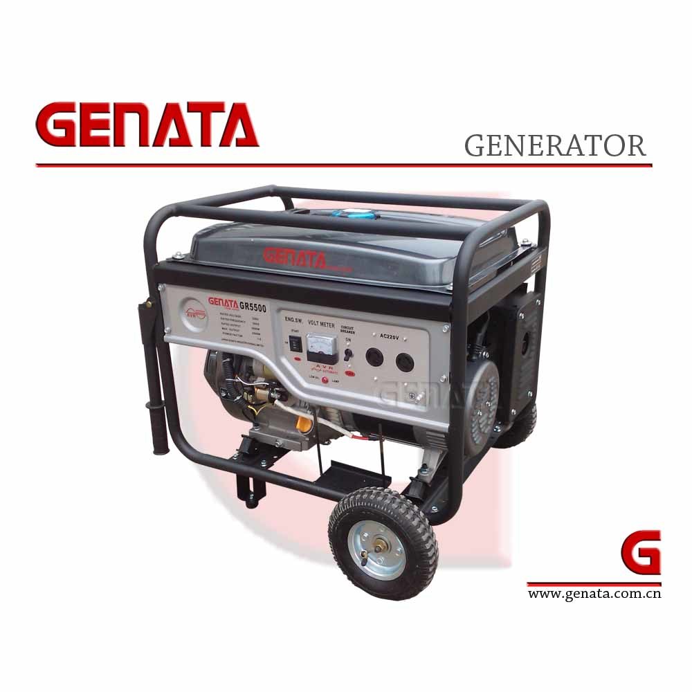 CE/EPA/GS Powerful Gasoline Generator with Good Price (GR5500)