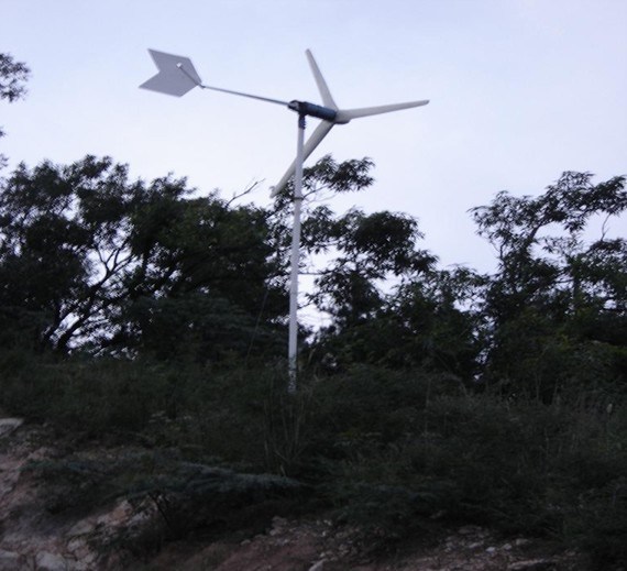 1000W Wind Turbines