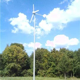 Small Wind Turbine Generator 1000W for Residential Power