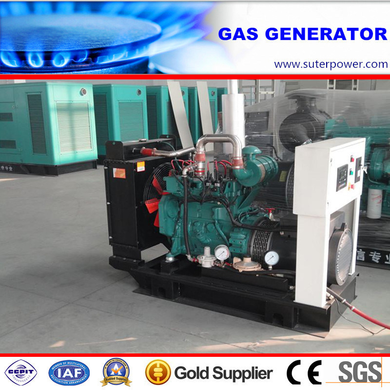Water Cooled 40kVA/30kw Gas Generator with CE Approved