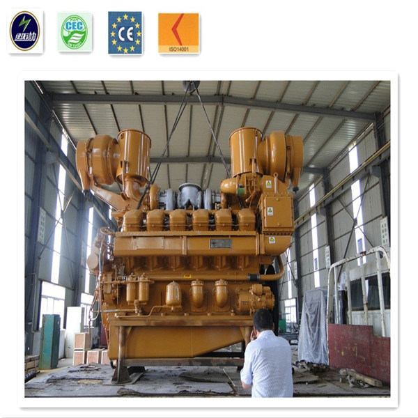 CE Certified Biomass Generator at 300kw for Straws Plant