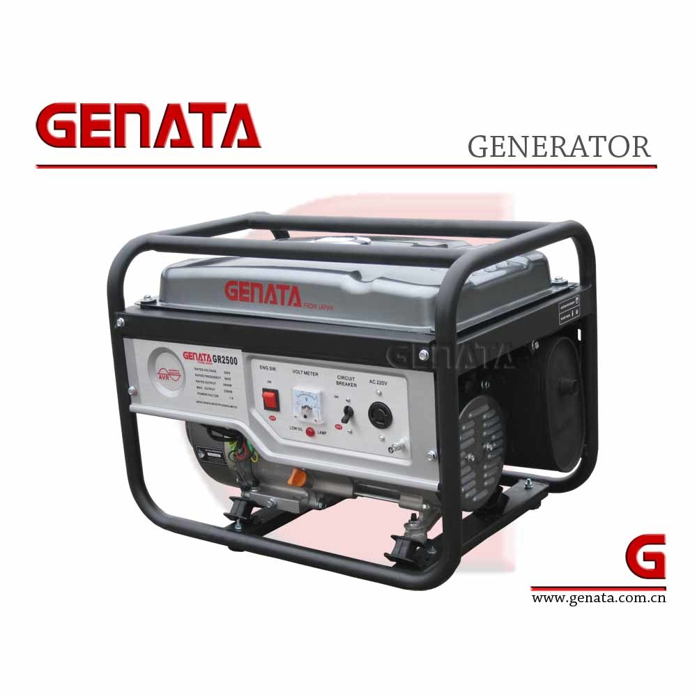 Portable Silent Gasoline Generator (GR2500)
