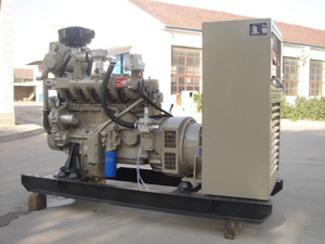 Biogas Generator From 10KVA to 1000KVA