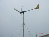Wind Turbine (200W)