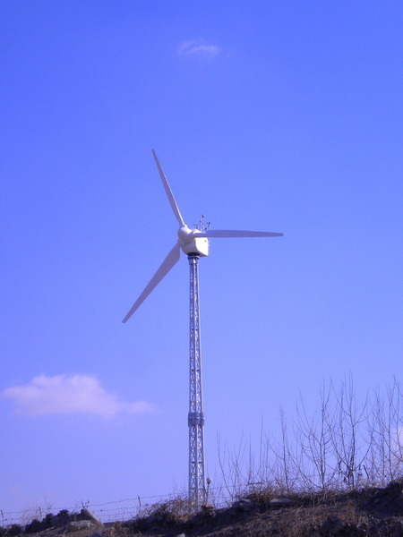 20kw on-Grid Wind Turbine Generator With CE Certificate (MSFD-H20)
