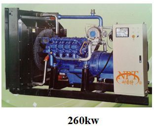 260kw Gas Generator Set