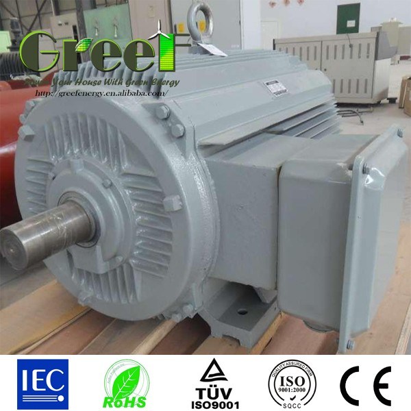 Pmg! Permanent Magnet Generator for Wind Power and Water Power AC 3phase