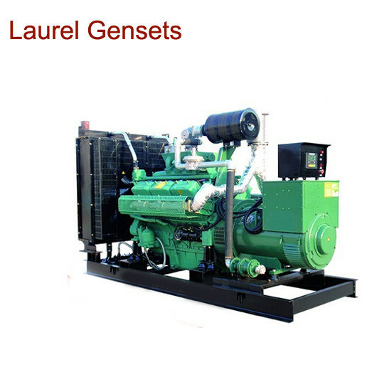 62.5kVA Biogas Electric Generator with 1500rpm