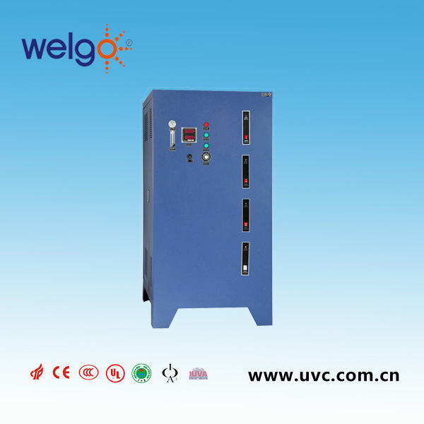 Oxygen Source Ozone Generator for Aquaculture Water Purification (B3-45)