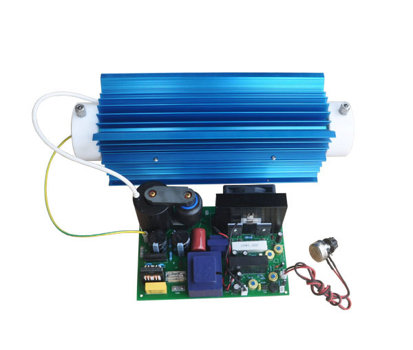 30g Ozone Generator for Industrial Water Treatment
